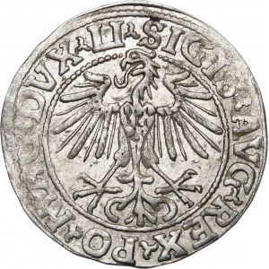 Sigismund II Augustus, Half-penny 1548, Vilnius - Arabic 1, LI/LITVA