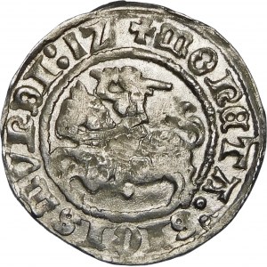 Sigismund I. der Alte, Halbpfennig 1512, Vilnius - schräger Doppelpunkt - schön