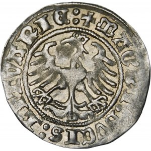 Sigismund I. der Alte, halber Pfennig 1512, Vilnius - diagonaler Doppelpunkt, Doppelpunkt