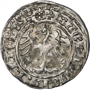 Sigismund I. der Alte, Halber Pfennig 1514, Vilnius - destrukt