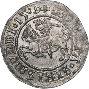 Sigismund I. der Alte, Halbpfennig 1509, Wilna - Herold mit Scheide - selten