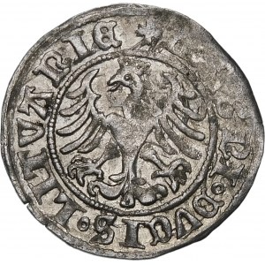 Sigismund I. der Alte, Halbpfennig 1509, Wilna - Herold mit Scheide - selten