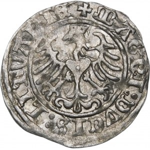 Sigismund I the Old, Half-penny 1509, Vilnius - Pogon without scabbard