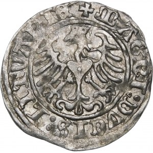 Žigmund I. Starý, Polovičný groš 1509, Vilnius - Zdravas bez pošvy