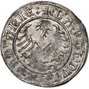 Žigmund I. Starý, polgroš 1509, Vilnius - Herold bez pošvy - dvojbodky
