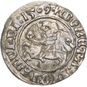 Zikmund I. Starý, půlpenny 1509, Vilnius - Pogon bez pochvy - čtyřrohý - krásný