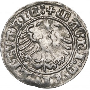 Sigismund I. der Alte, halber Pfennig 1510, Vilnius - große Null, Doppelpunkte