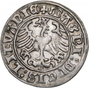 Sigismund I. der Alte, Halbpfennig 1510, Wilna - große Null, Doppelpunkt