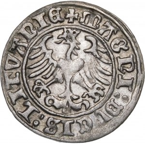 Zikmund I. Starý, půlgroš 1510, Vilnius - velká nula, dvojtečka