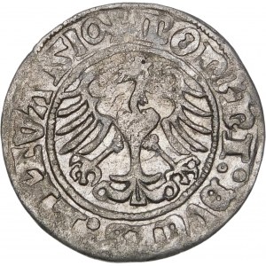 Sigismund I. der Alte, Halber Pfennig 1510, Vilnius - Zerstörung - Datum auf der Rückseite