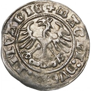 Sigismund I. der Alte, Halbpfennig 1511, Wilna - Doppelpunkt