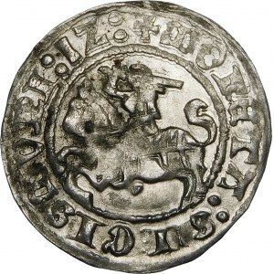 Sigismund I. der Alte, Halbpfennig 1512, Vilnius - Fehler, SIGISMVNI - sehr selten