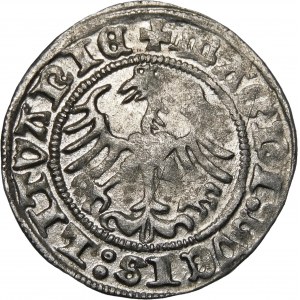 Zikmund I. Starý, půlpenny 1513, Vilnius - prsten - dvojtečka - vzácný