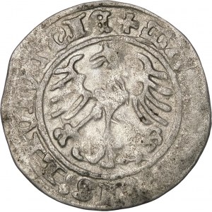 Sigismund I. der Alte, Halber Pfennig 1513, Vilnius - Volles Datum, LIVTVANIE Fehler - Seltenheit