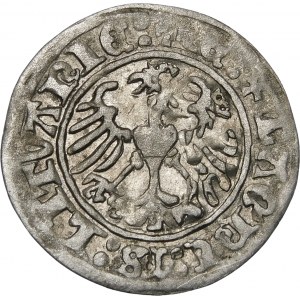 Sigismund I. der Alte, Halber Pfennig 1513, Vilnius - destrukt