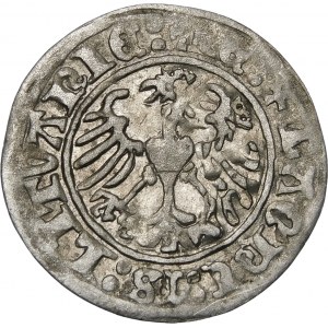 Zikmund I. Starý, Půlpenny 1513, Vilnius - destrukt