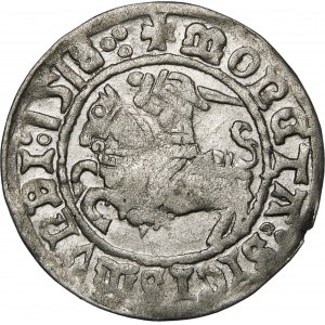 Sigismund I. der Alte, Halbpfennig 1518, Vilnius - Dreifachpunkt, Doppelpunkt - sehr selten