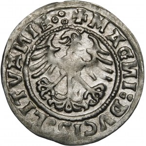 Sigismund I. der Alte, Halbpfennig 1519, Wilna - 5 Federn - Dreipfennig - selten