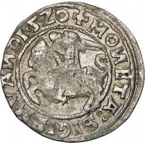 Zygmunt I Stary, Półgrosz 1520, Wilno – błąd, SIGISMVANDI∙5Z0 – b. rzadki