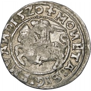 Sigismund I. der Alte, Halbpfennig 1520, Vilnius - Fehler, SIGISMVANDI∙5Z0 - sehr selten