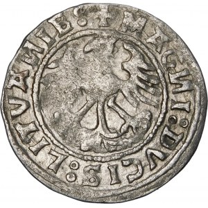 Sigismund I. der Alte, Halbpfennig 1520, Vilnius - Fehler, SIGISMVANDI∙5Z0 - sehr selten