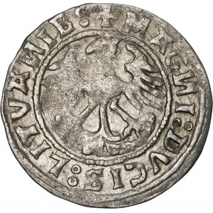 Sigismund I the Old, Half-penny 1520, Vilnius - error, SIGISMVANDI∙5Z0 - very rare.
