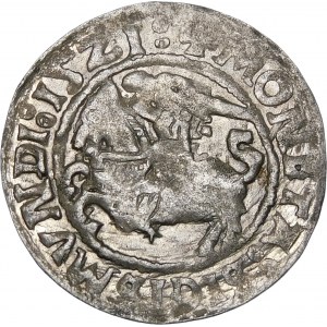 Zikmund I. Starý, půlpenny 1521, Vilnius - dvojtečky