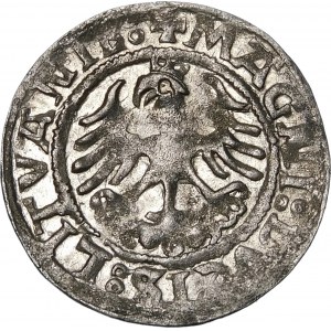 Sigismund I. der Alte, Halbpfennig 1521, Wilna - Doppelpunkte