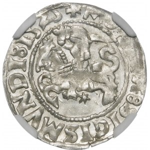 Sigismund I the Old, Half-penny 1525, Vilnius - colon - beautiful