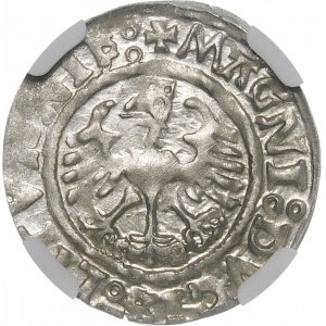 Sigismund I the Old, Half-penny 1525, Vilnius - colon - beautiful