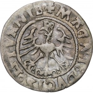 Sigismund I. der Alte, Halber Pfennig 1526, Vilnius - Fehler, SICISMVNDI - selten