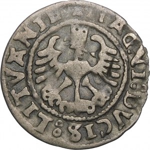 Zikmund I. Starý, půlpenny 1527, Vilnius - chyba, SIGISMVANDI - vzácné