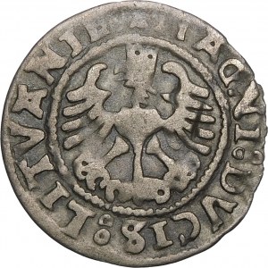 Sigismund I the Old, Half-penny 1527, Vilnius - error, SIGISMVANDI - rare