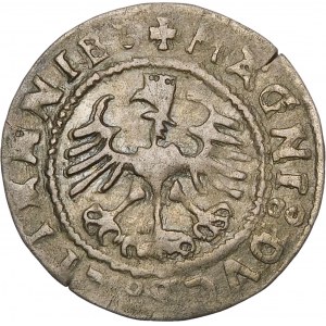 Sigismund I. der Alte, Halbpfennig 1528, Wilna - ohne V - DVCS Fehler - sehr selten