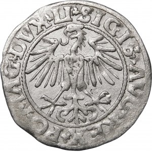 Sigismund II Augustus, Halbpfennig 1549, Wilna - 9 Pogon, LI/LITVA