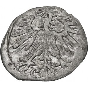Zygmunt II August, Denar 1563, Wilno – ogon podniesiony – rzadki