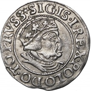 Sigismund I the Old, 1540 penny, Gdansk - PRVSS