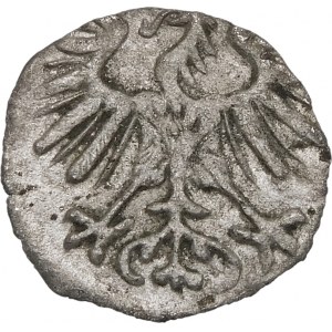 Sigismund II. Augustus, Denar 1554, Vilnius