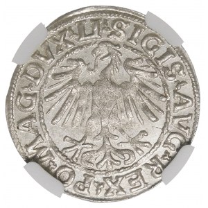 Zygmunt II August, Półgrosz 1548, Wilno - piękny