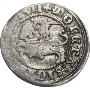 Sigismund I the Old, Half-penny 1511, Vilnius - 3 Rings - very rare