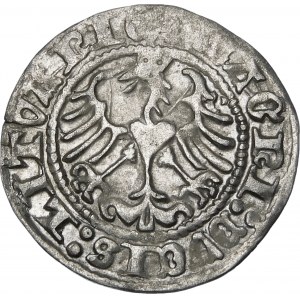 Zikmund I. Starý, půlpenny 1513, Vilnius