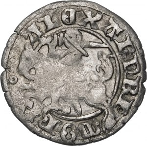 Alexander Jagiellonian, Vilnius half-penny - Gothic/Renaissance - 5th issue - rare