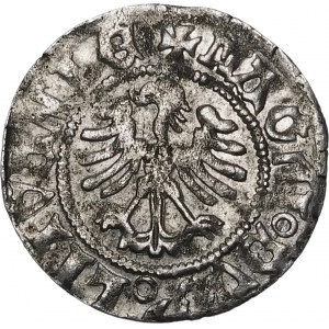 Alexander Jagiellonian, Half-penny of Vilnius - Renaissance - 7th issue - Pogon 3-A