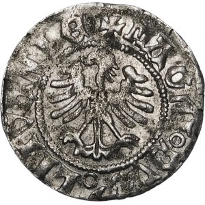 Alexander Jagiellonian, Vilnius halber Pfennig - Renaissance - 7. Ausgabe - Pogon 3-A