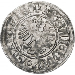 Alexander Jagiellonian, Vilnius halber Pfennig - Renaissance - 7. Ausgabe - Pogon 3-C