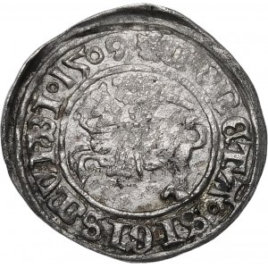 Sigismund I. der Alte, Halbpfennig 1509, Wilna - Herold mit Scheide - selten