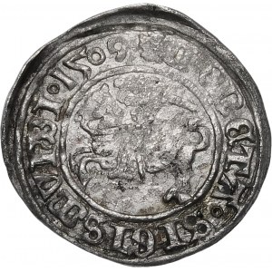 Žigmund I. Starý, polgroš 1509, Vilnius - Herold s pošvou - vzácny