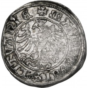 Zikmund I. Starý, půlpenny 1509, Vilnius - Herold s pochvou - vzácný