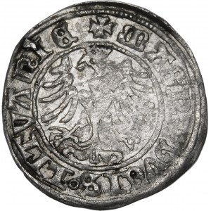 Sigismund I. der Alte, Halbpfennig 1509, Wilna - Herold mit Scheide - selten