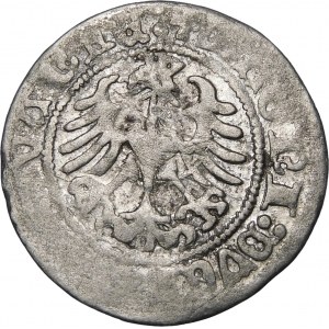 Zikmund I. Starý, půlpenny 1518, Vilnius - Prsten, zrcadlový D - vzácný